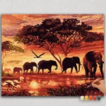 Elephant Family and Sunset
