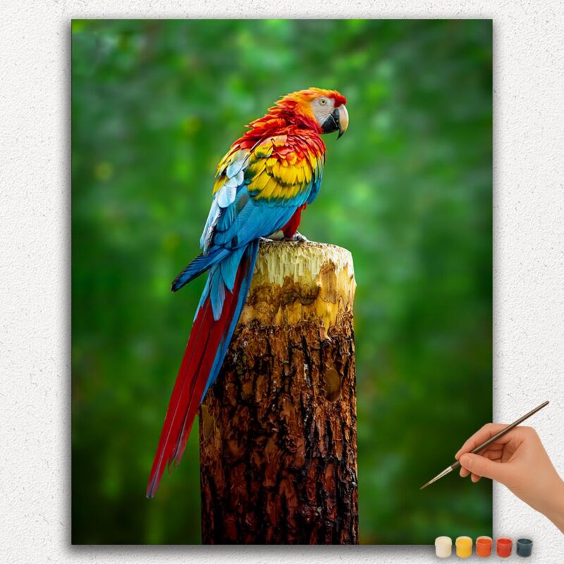 Colorful Parrot