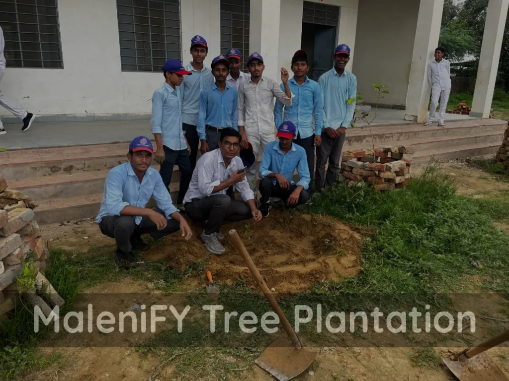 Tree Plantation in India