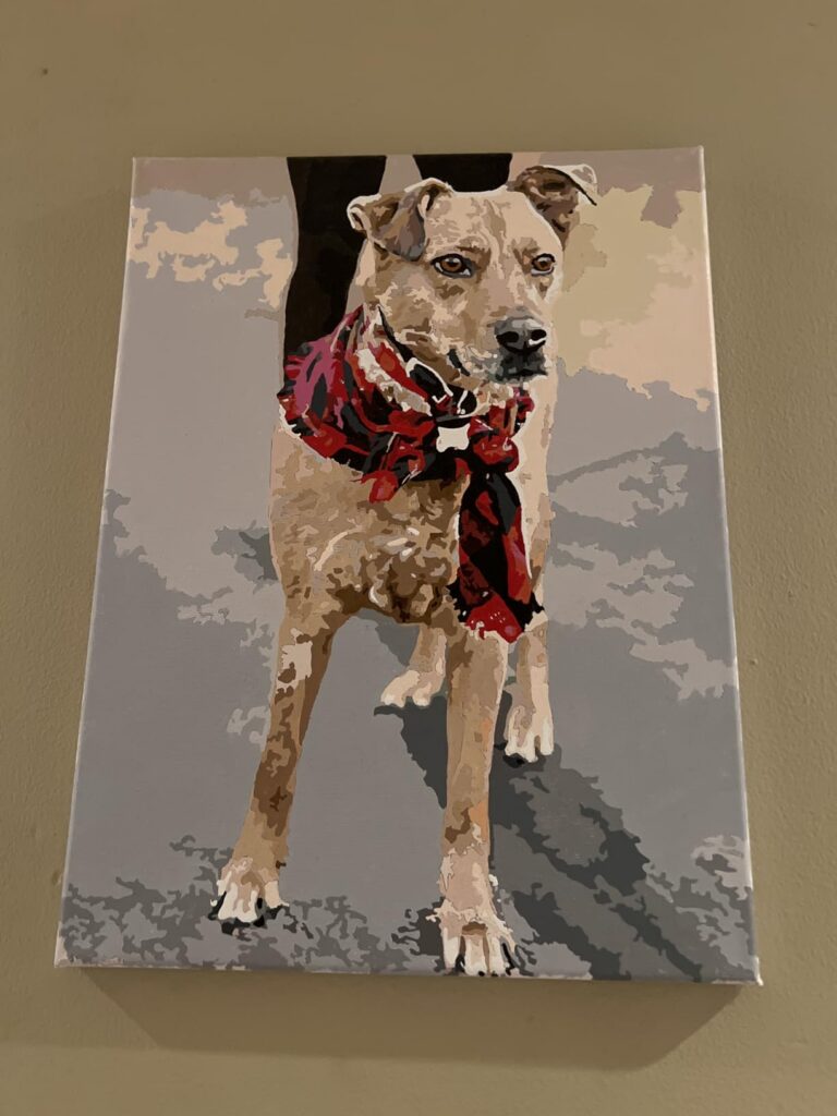 Peinture par numéros : Portrait personnalisé de votre animal photo review