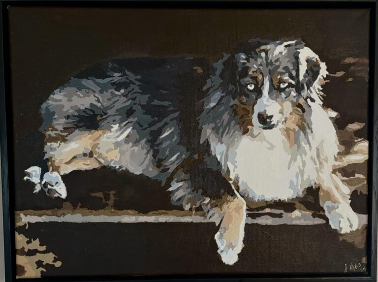 Peinture par numéros : Portrait personnalisé de votre animal photo review