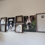 Peinture par numéros : Portrait personnalisé de votre animal photo review