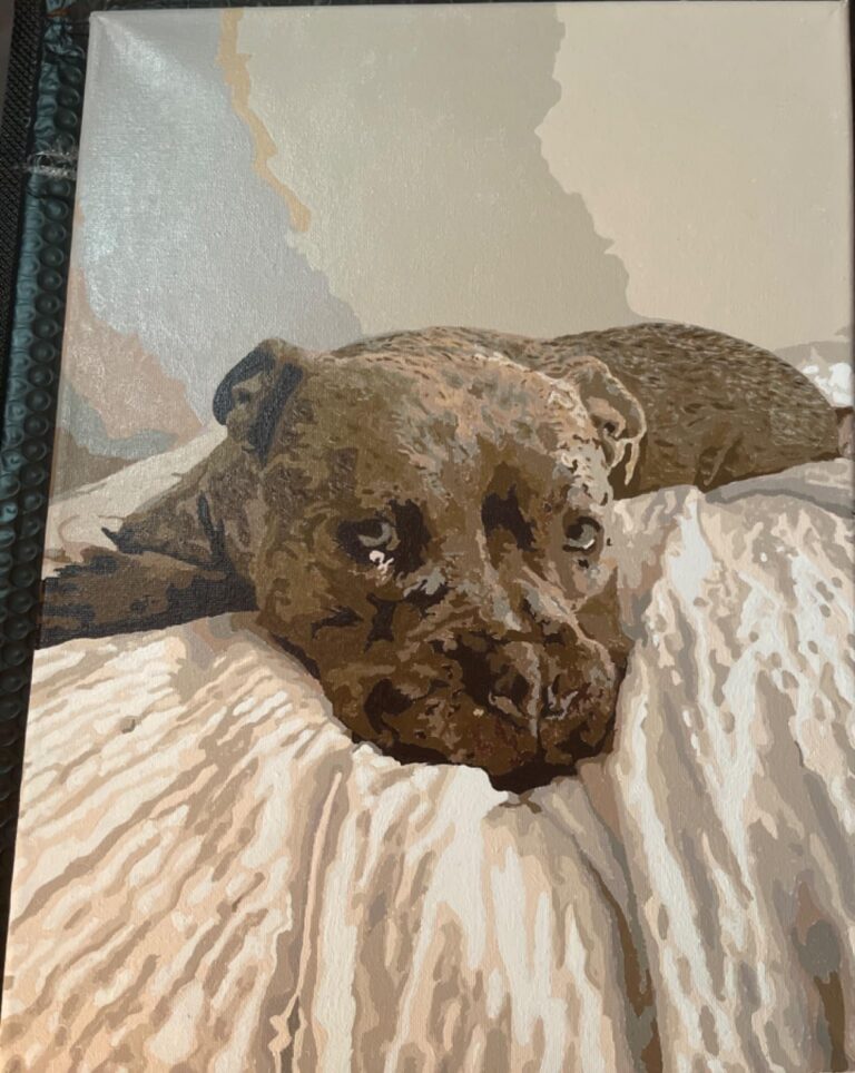 Peinture par numéros : Portrait personnalisé de votre animal photo review