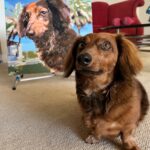 Peinture par numéros : Portrait personnalisé de votre animal photo review