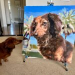 Peinture par numéros : Portrait personnalisé de votre animal photo review