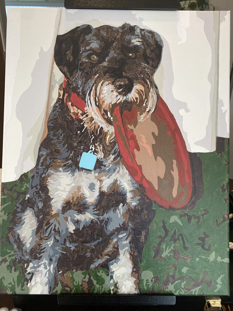Peinture par numéros : Portrait personnalisé de votre animal photo review