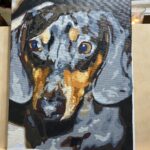 Peinture par numéros : Portrait personnalisé de votre animal photo review