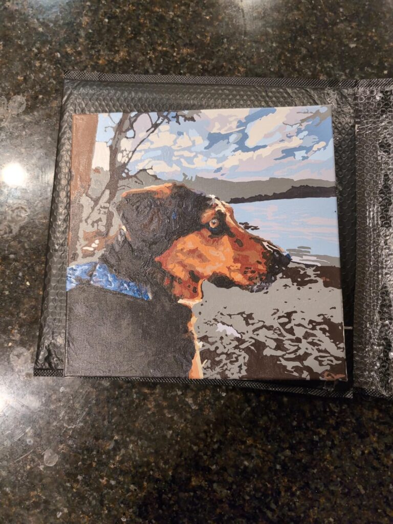 Peinture par numéros : Portrait personnalisé de votre animal photo review