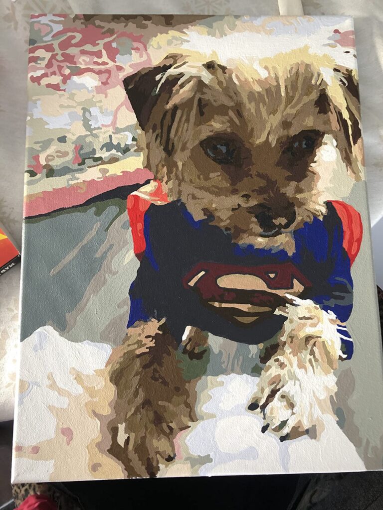 Peinture par numéros : Portrait personnalisé de votre animal photo review