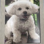 Portrait de Mariage Personnalisé - Transformez vos Souvenirs en Œuvre d'Art photo review