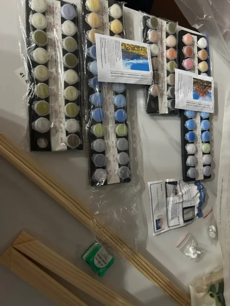 Kit de Peinture par Numéros Personnalisé | Votre Photo sur Toile | Idée Cadeau photo review