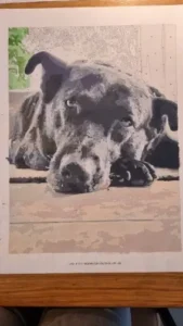 Kit de Peinture par Numéros Personnalisé | Votre Photo sur Toile | Idée Cadeau photo review