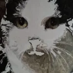 Kit de Peinture par Numéros Personnalisé | Votre Photo sur Toile | Idée Cadeau photo review