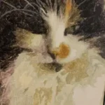 Kit de Peinture par Numéros Personnalisé | Votre Photo sur Toile | Idée Cadeau photo review