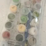 Kit de Peinture par Numéros Personnalisé | Votre Photo sur Toile | Idée Cadeau photo review