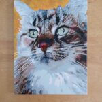 Peinture par numéros : Portrait personnalisé de votre animal photo review