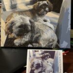 Peinture par numéros : Portrait personnalisé de votre animal photo review